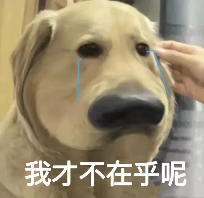 【爆笑】黄晓明Angelababy真离了？！网友：不用纠结去谁家过年了…（组图） - 2