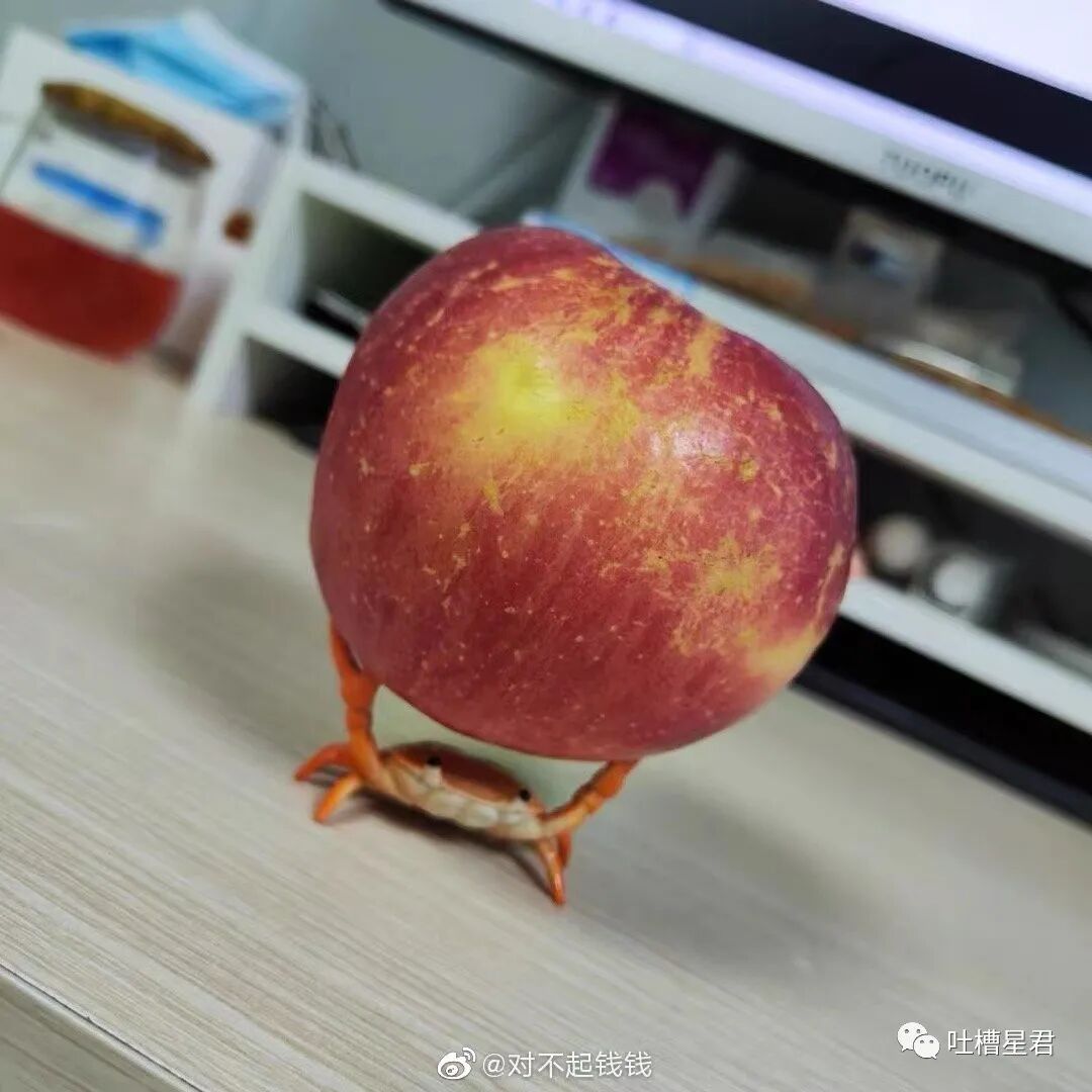 【爆笑】黄晓明Angelababy真离了？！网友：不用纠结去谁家过年了…（组图） - 56