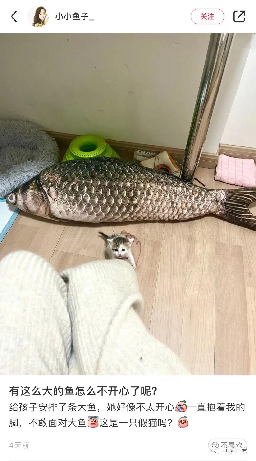 【爆笑】“当湾湾人故意给x宝差评后…”哈哈哈哈淦等我从福建坐船去K你！（组图） - 59