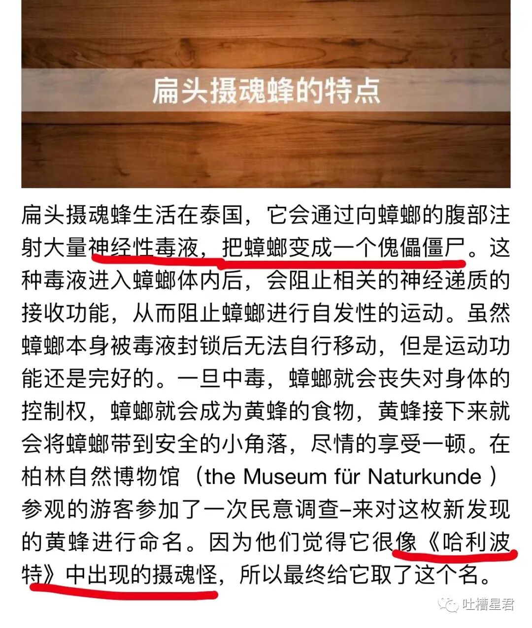 【爆笑】交往第二天收到100w转账和千万豪宅？！啊啊啊这是别人的520…（组图） - 46