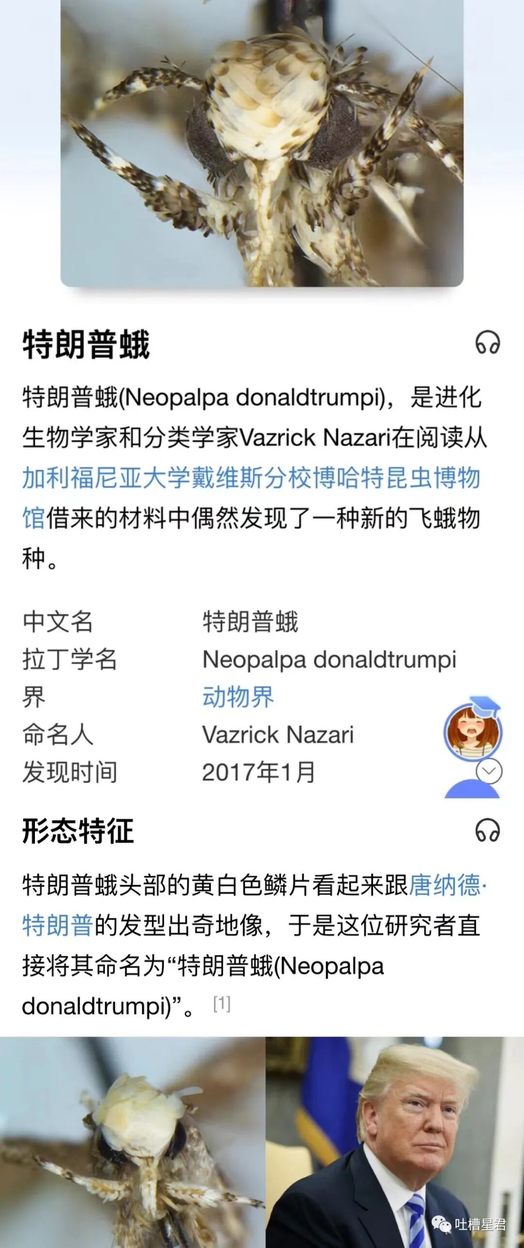 【爆笑】交往第二天收到100w转账和千万豪宅？！啊啊啊这是别人的520…（组图） - 43