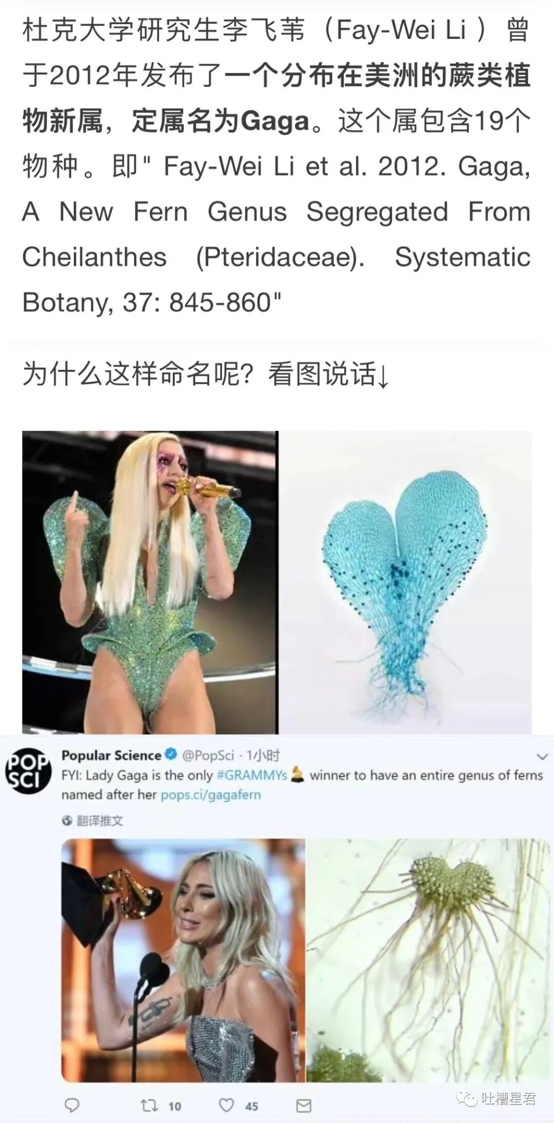 【爆笑】交往第二天收到100w转账和千万豪宅？！啊啊啊这是别人的520…（组图） - 47