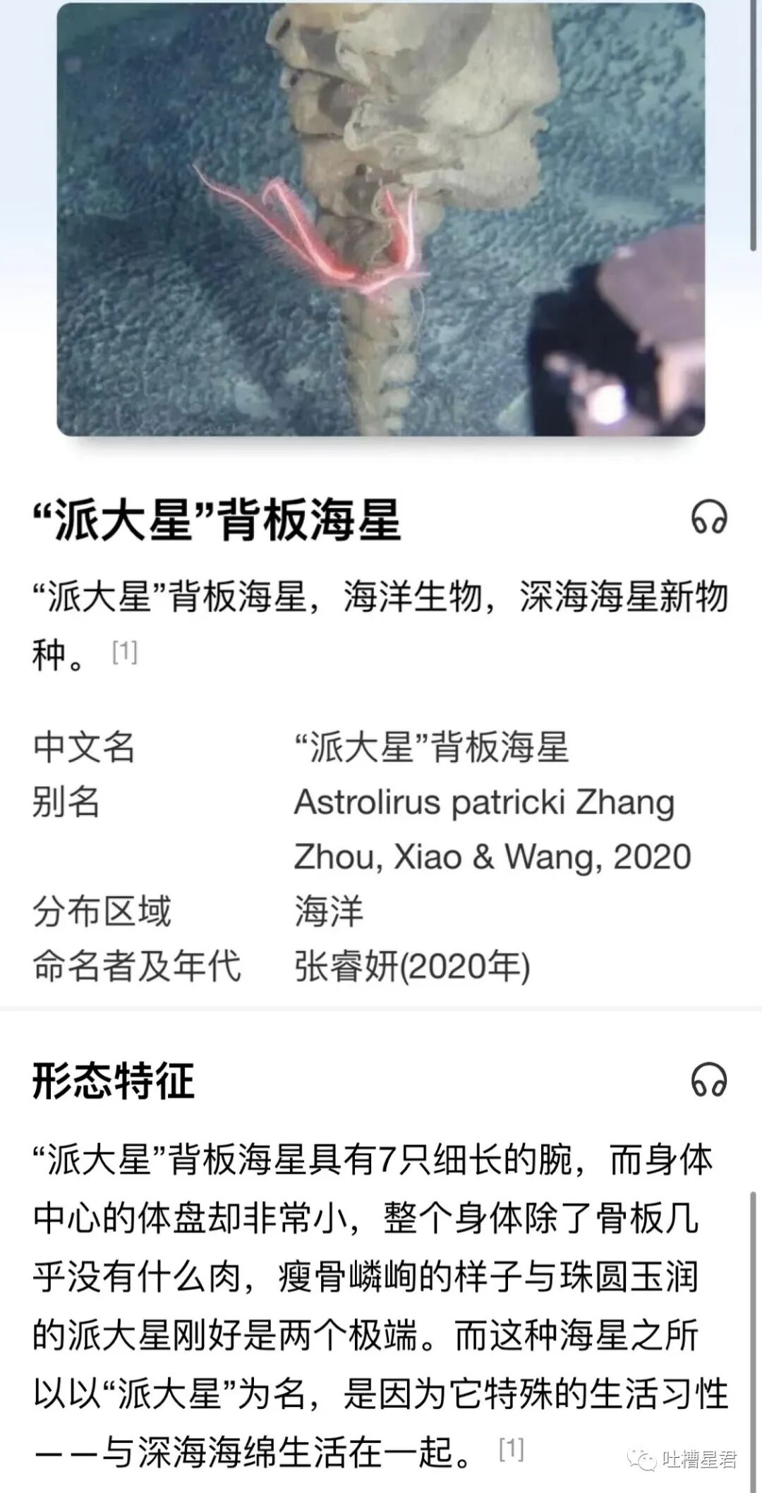 【爆笑】交往第二天收到100w转账和千万豪宅？！啊啊啊这是别人的520…（组图） - 49