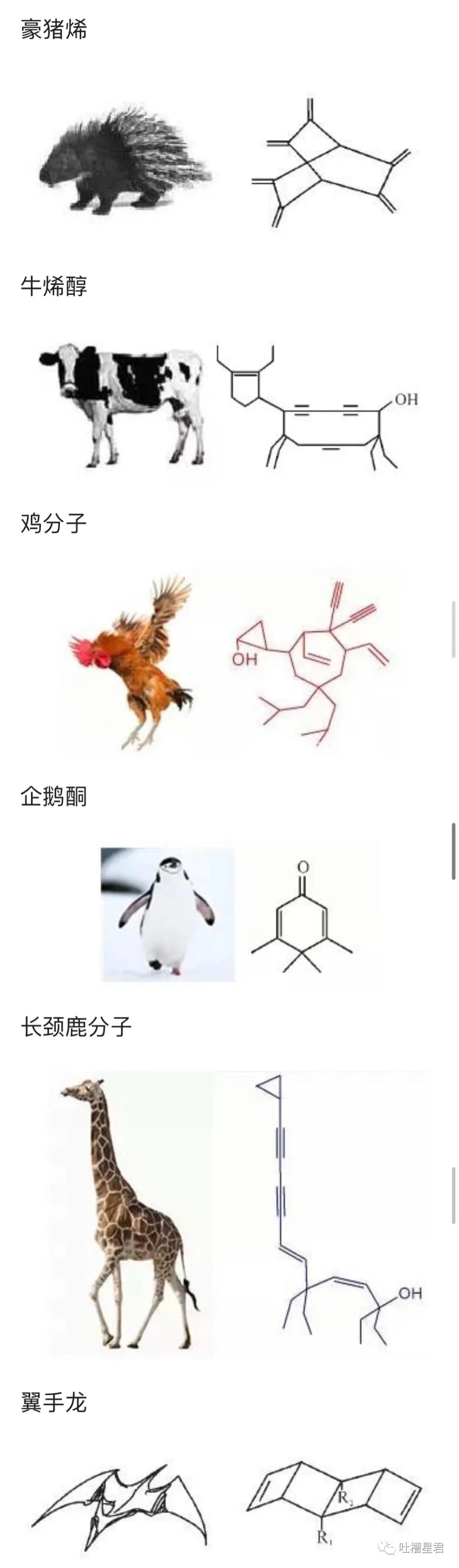 【爆笑】交往第二天收到100w转账和千万豪宅？！啊啊啊这是别人的520…（组图） - 51
