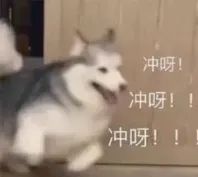使命召唤cod下载_使命召唤下载列表_使命召唤系列下载