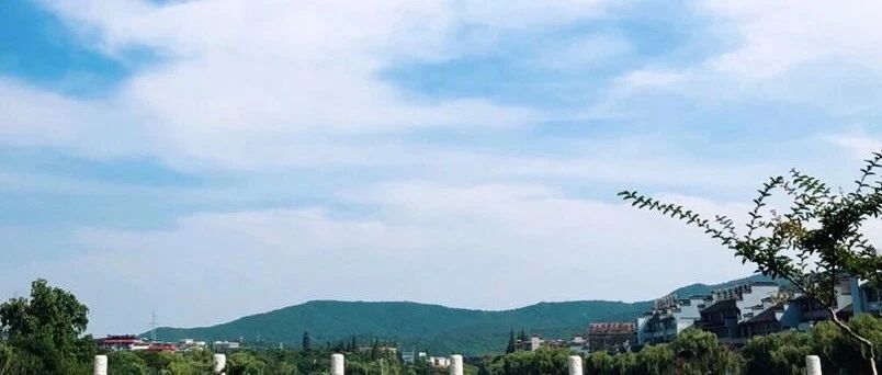 微信公众号张鸣 Zhangming 最新文章 微信公众号文章阅读 Wemp