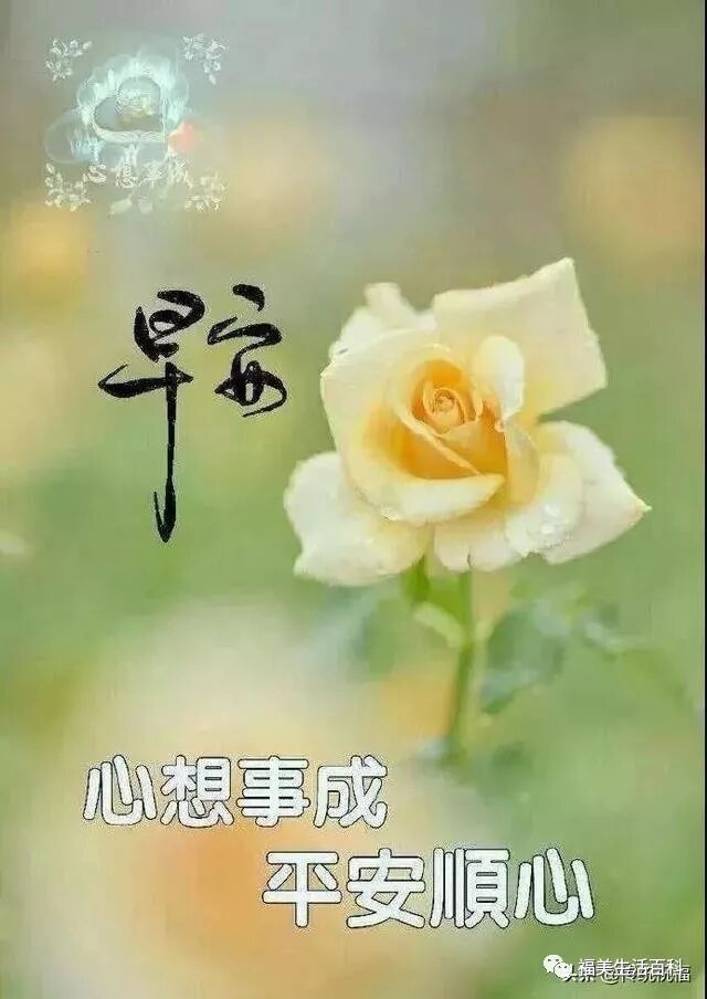 早上好问候语大全 早上好祝福语表情图片 福美生活百科 微信公众号文章阅读 Wemp