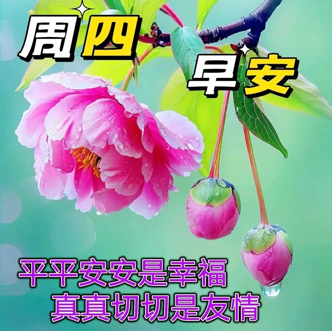 早安祝福图片带字问候语录暖心祝福大全 , 早上好问候大家祝福语录