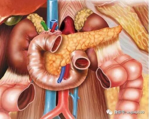 胰腺癌早期难发现，医生总结：请记好4个蛛丝马迹，早发现活得长