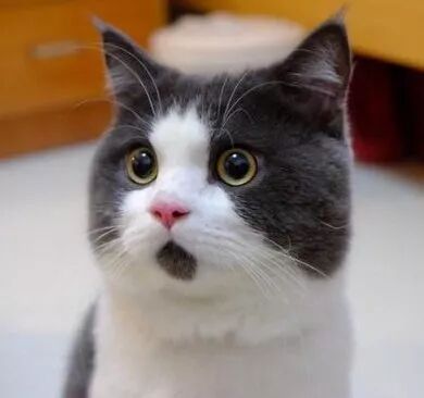 为什么要用湿化器99%的ICU医生会在机械通气中使用雾化治疗，哪些临床细节需要关注？相关专家共识该如何解读？_https://www.jmylbn.com_新闻资讯_第2张