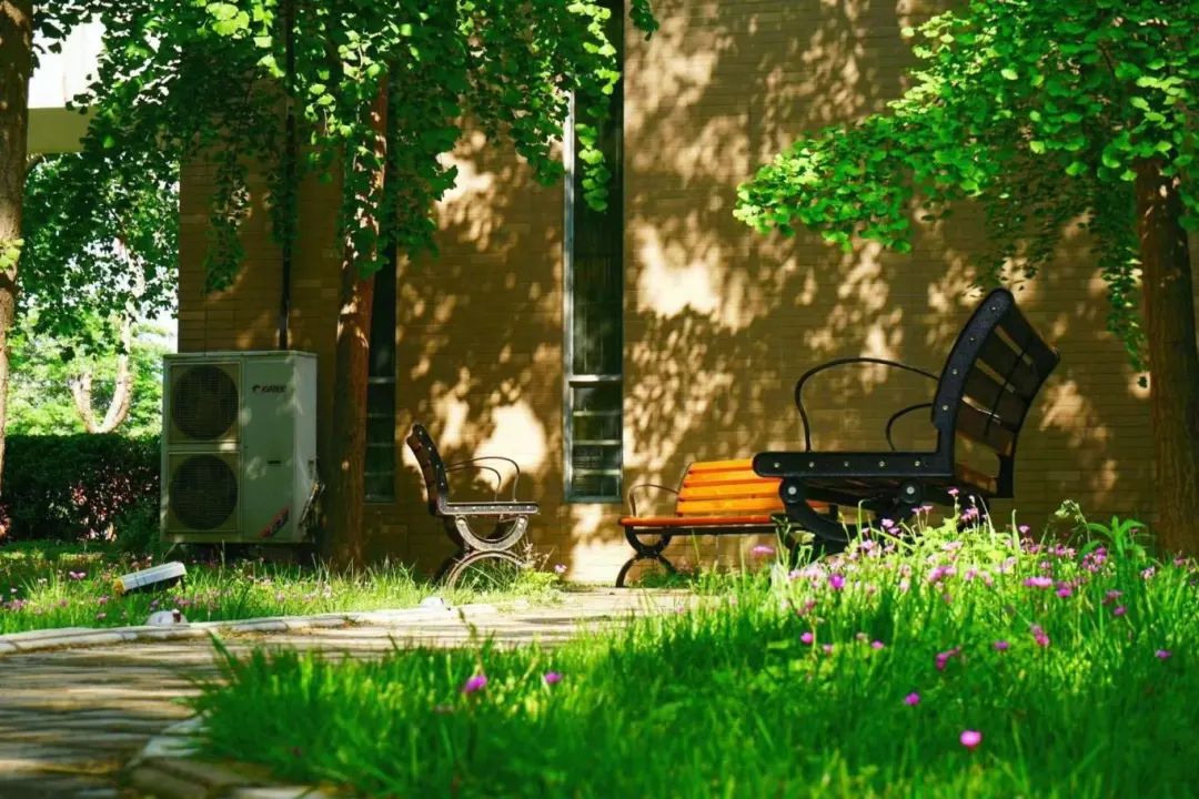 河南法學(xué)院錄取分?jǐn)?shù)線_河南法學(xué)專業(yè)排名_2024年河南大學(xué)法學(xué)研究生錄取分?jǐn)?shù)線（2024各省份錄取分?jǐn)?shù)線及位次排名）