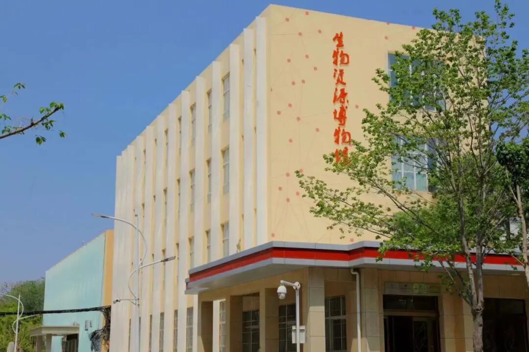 河南法學(xué)院錄取分?jǐn)?shù)線_河南法學(xué)專業(yè)排名_2024年河南大學(xué)法學(xué)研究生錄取分?jǐn)?shù)線（2024各省份錄取分?jǐn)?shù)線及位次排名）