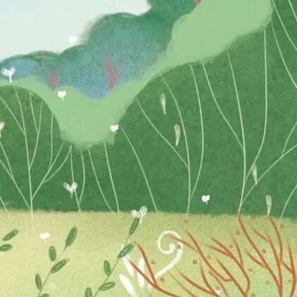 狮子座不是谁都可以选的对象！