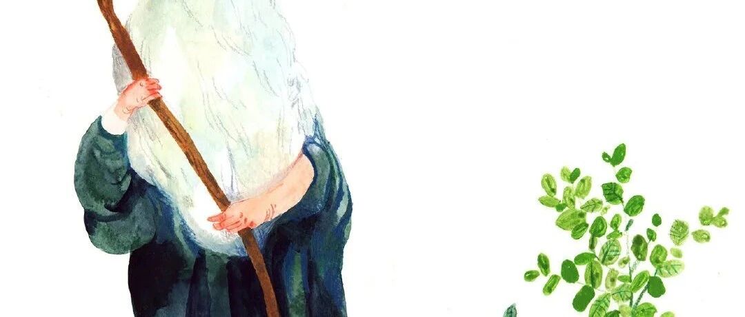 本周运势最旺的几大星座！