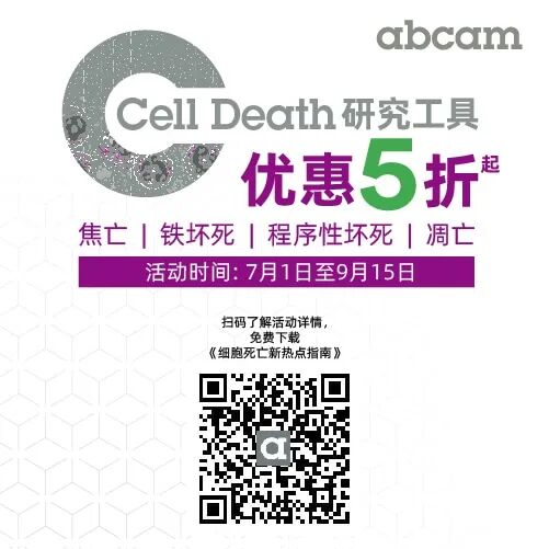 bm细胞是什么细胞三种常用小鼠常见免疫细胞的参考范围_https://www.jmylbn.com_新闻资讯_第10张