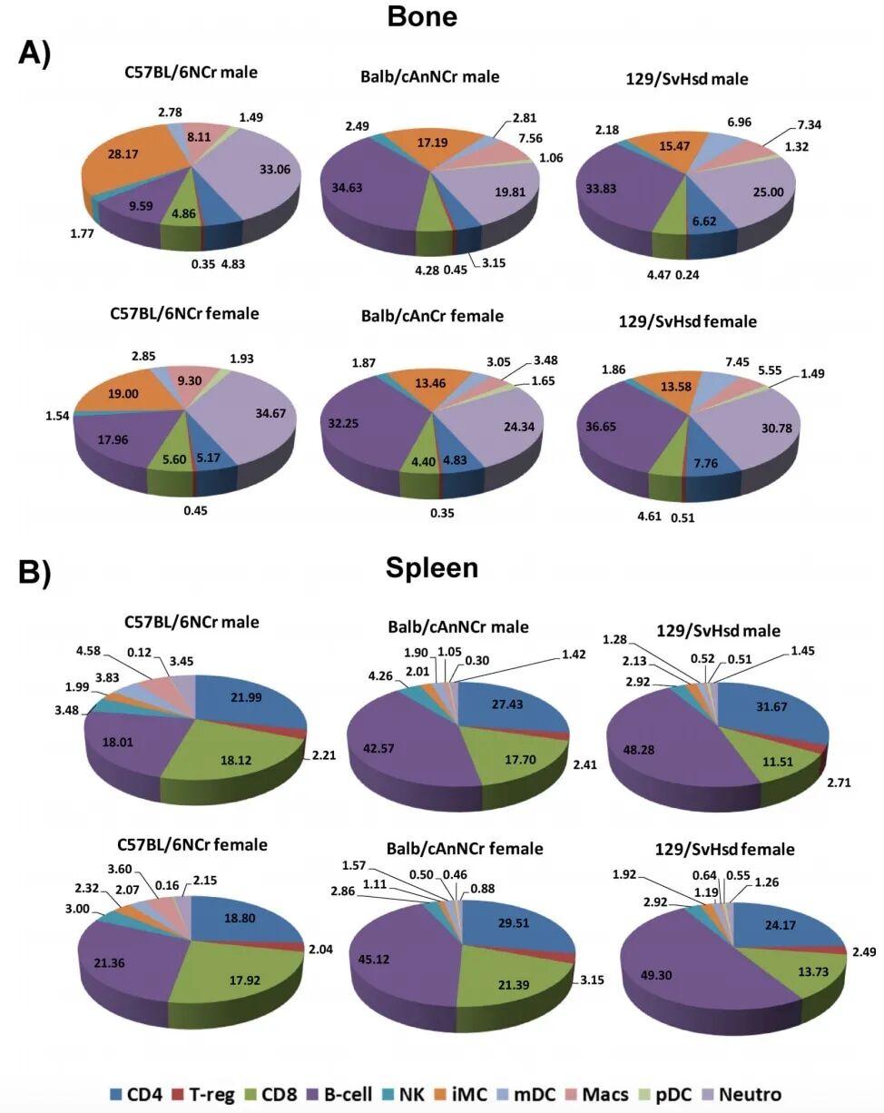 bm细胞是什么细胞三种常用小鼠常见免疫细胞的参考范围_https://www.jmylbn.com_新闻资讯_第3张