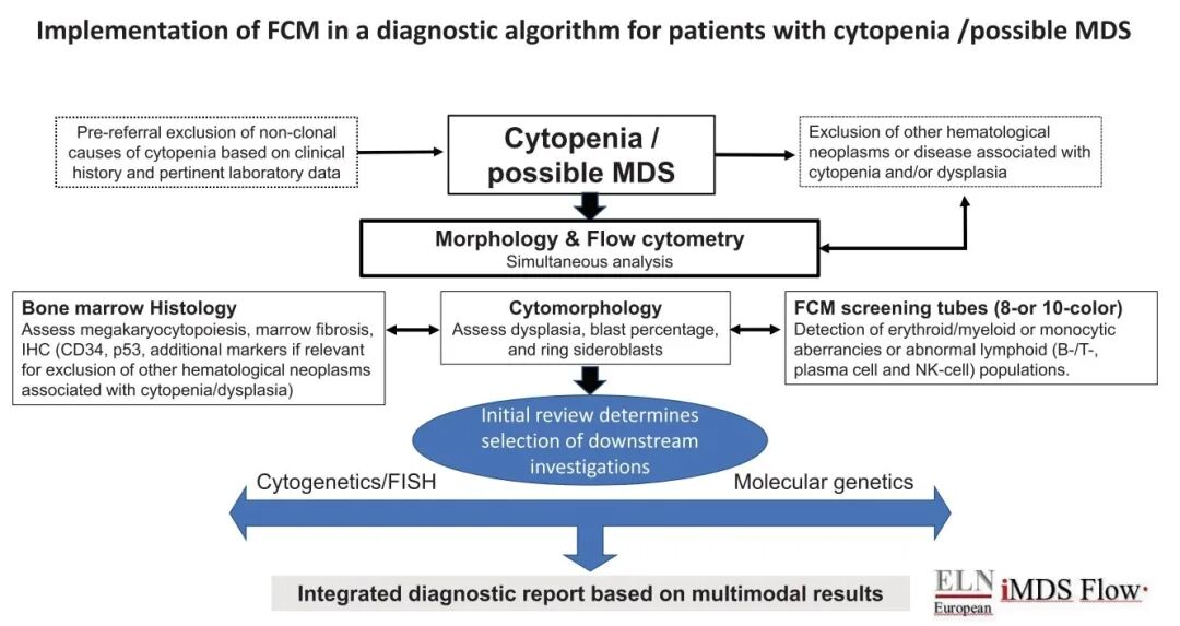 bm细胞是什么细胞LeukemiaNet评论：流式细胞术在不明原因血细胞减少和疑似MDS患者中的临床应用_https://www.jmylbn.com_新闻资讯_第2张