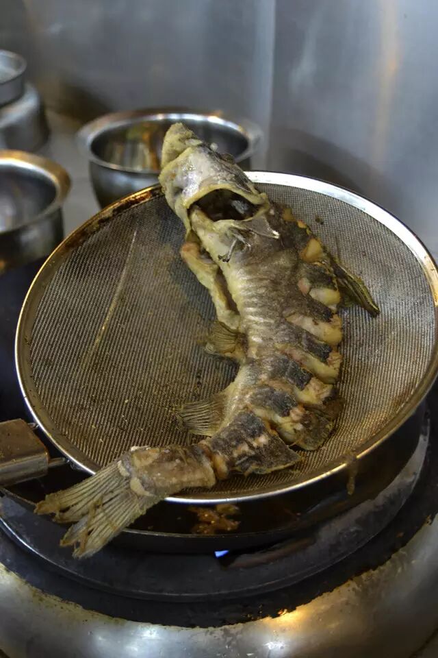 黄酒更加去腥,且保存鱼本来的味道7加之前炖好的高汤8千滚豆腐万滚鱼