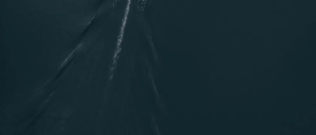 再见，澳大利亚！