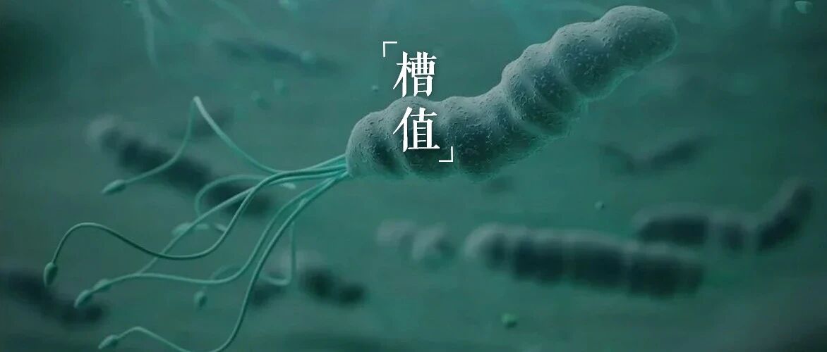 张馨予，没必要被它吓坏