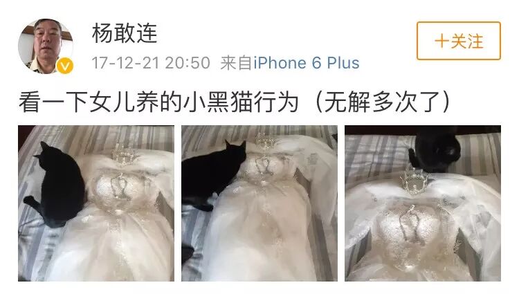 ��ͥ�����ı������Ǹ�ĸһֱ��Ϊ���ӻ�С