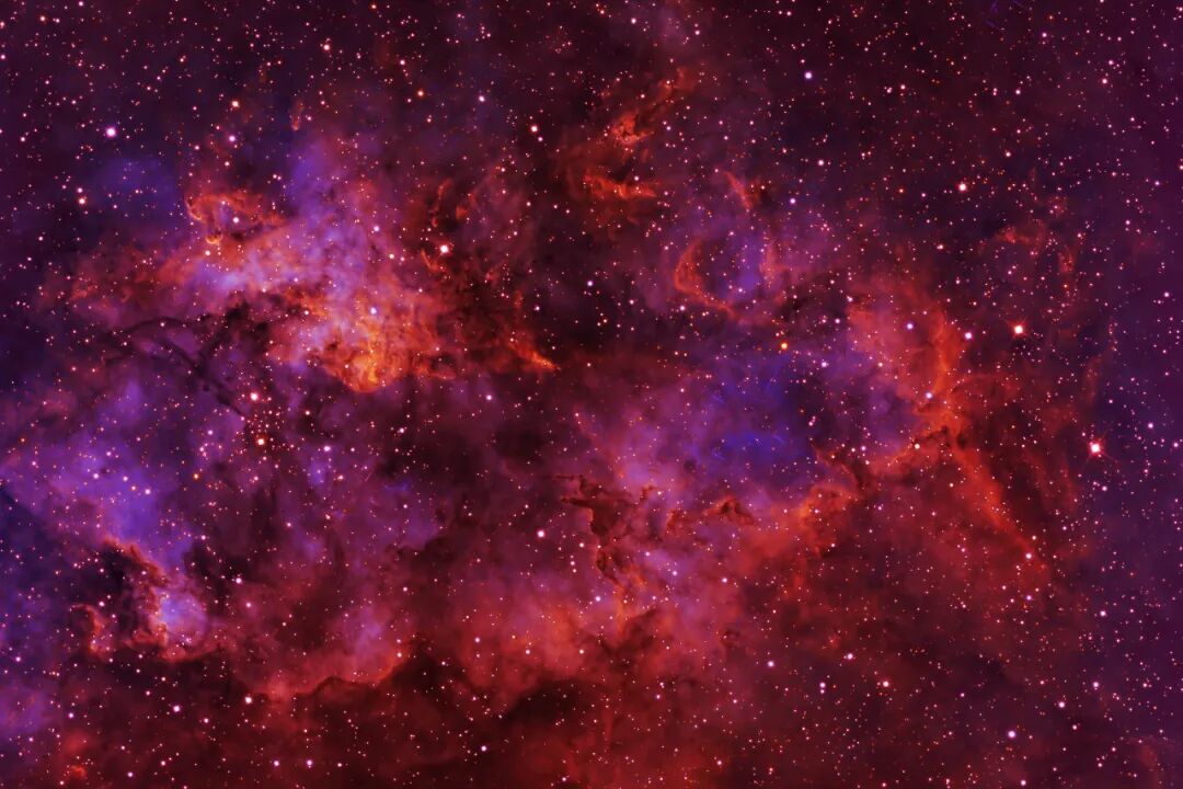 国产AI到底有多绝？你一无所知