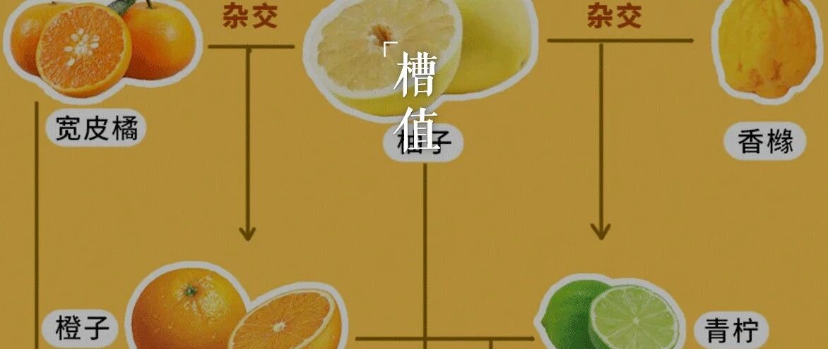 车厘子降价之后，水果群里炸了