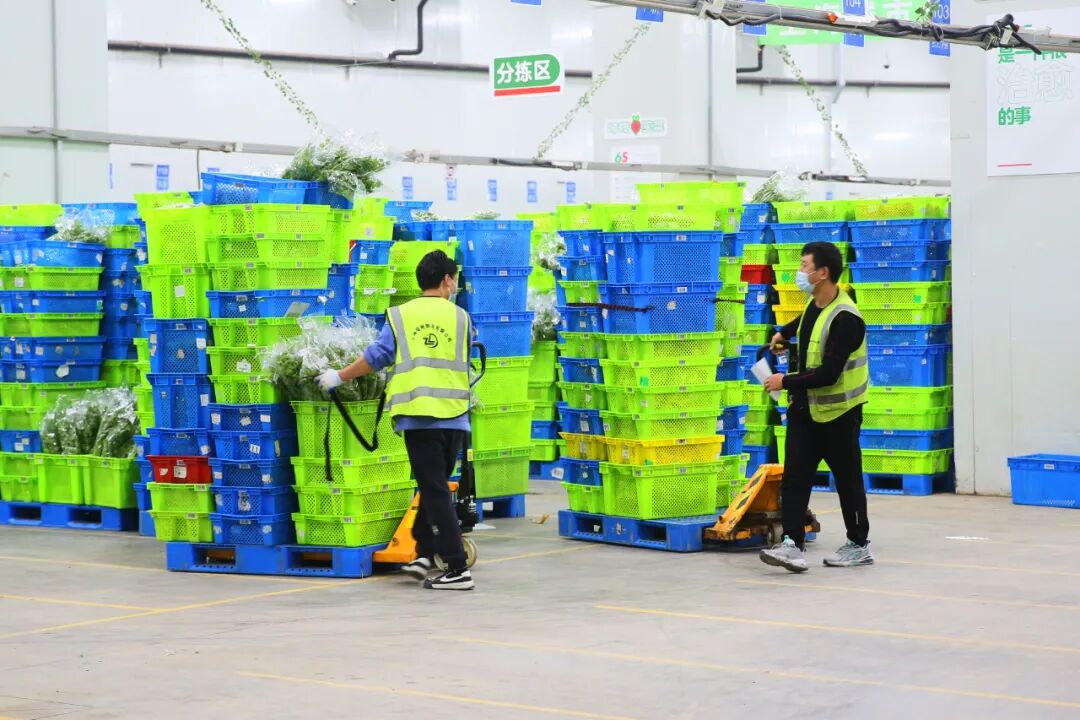 日均发货100万件果蔬订单松江叮咚买菜蔬果仓产线全开全力保障上海