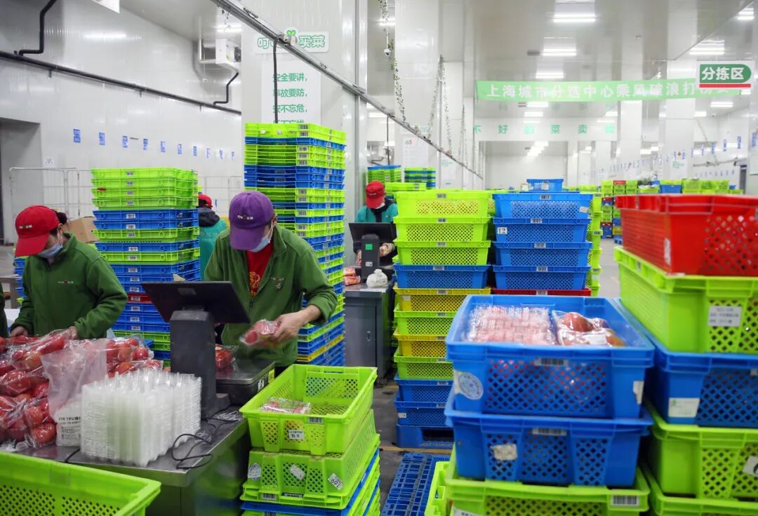 日均发货100万件果蔬订单松江叮咚买菜蔬果仓产线全开全力保障上海