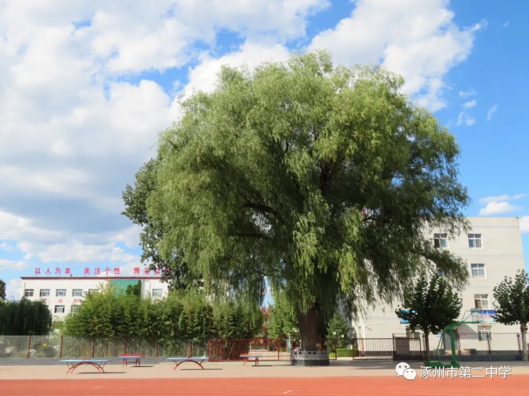 涿州市第二中学