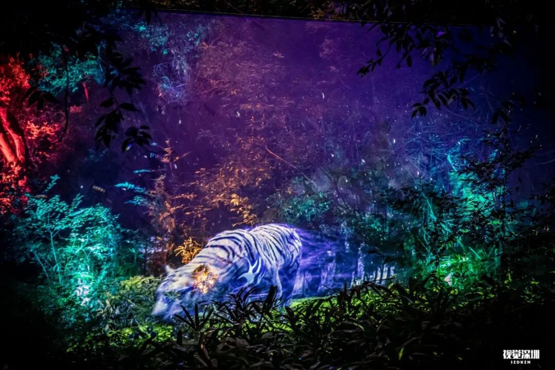 深圳首个光影森林奇幻光景陪你度过欢乐跨年季