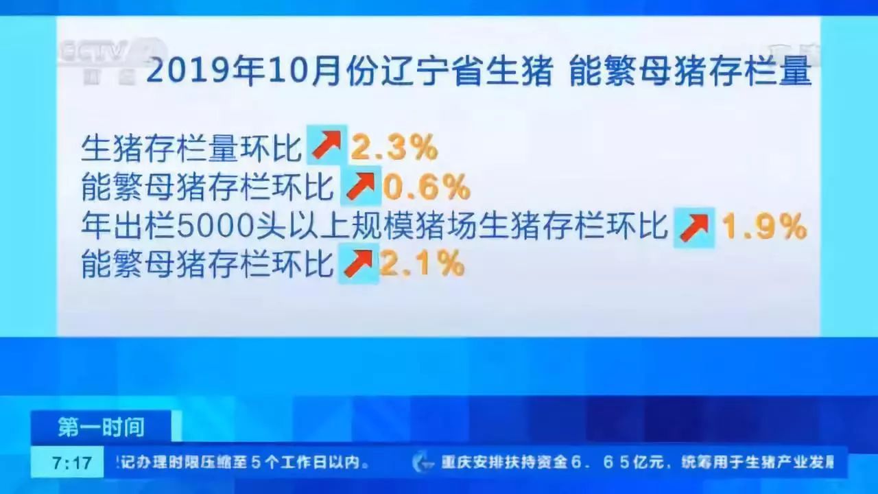 央视记者辽宁走访:疫区已有猪场复养成功!养殖户重拾信心,生猪母猪存栏环比增长 央视记者辽宁走访:疫区已有猪场复养成功!养殖户重拾信心,生猪母猪存栏环比增长