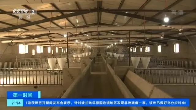 央视记者辽宁走访:疫区已有猪场复养成功!养殖户重拾信心,生猪母猪存栏环比增长 央视记者辽宁走访:疫区已有猪场复养成功!养殖户重拾信心,生猪母猪存栏环比增长