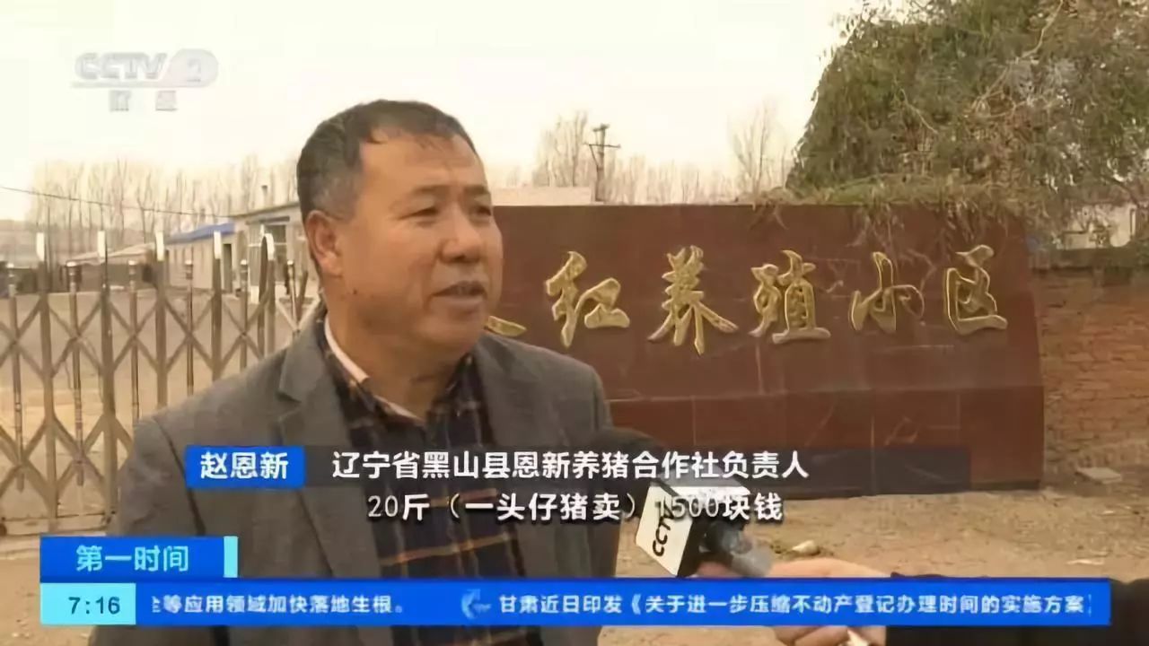 央视记者辽宁走访:疫区已有猪场复养成功!养殖户重拾信心,生猪母猪存栏环比增长 央视记者辽宁走访:疫区已有猪场复养成功!养殖户重拾信心,生猪母猪存栏环比增长