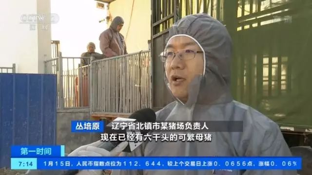 央视记者辽宁走访:疫区已有猪场复养成功!养殖户重拾信心,生猪母猪存栏环比增长 央视记者辽宁走访:疫区已有猪场复养成功!养殖户重拾信心,生猪母猪存栏环比增长