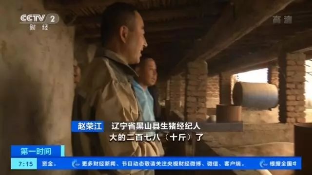 央视记者辽宁走访:疫区已有猪场复养成功!养殖户重拾信心,生猪母猪存栏环比增长 央视记者辽宁走访:疫区已有猪场复养成功!养殖户重拾信心,生猪母猪存栏环比增长