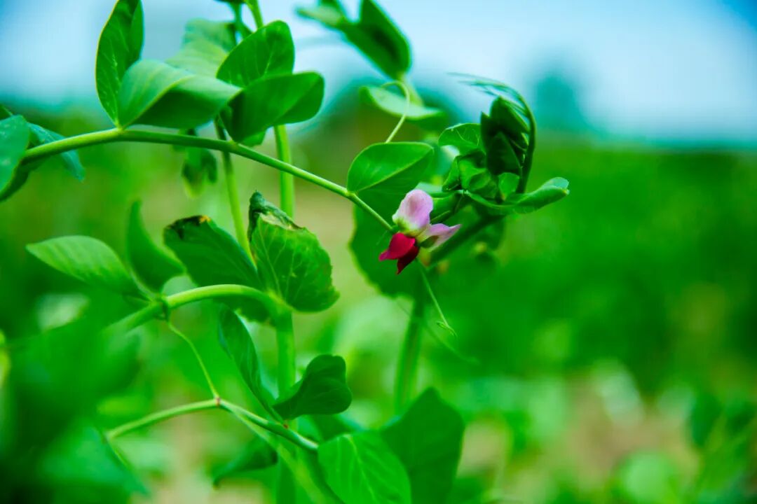 为什么kj更能刺激自己手淫，为什么会让男人那么快乐 ？_https://www.jmylbn.com_新闻资讯_第4张