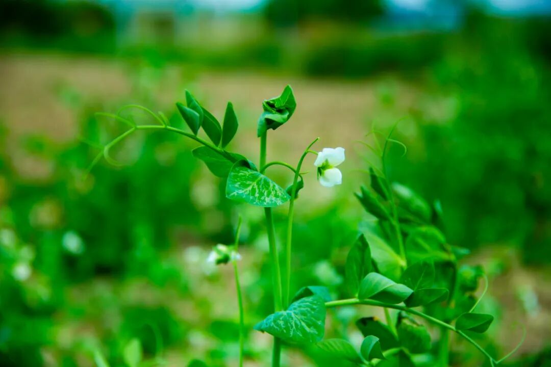 为什么kj更能刺激自己手淫，为什么会让男人那么快乐 ？_https://www.jmylbn.com_新闻资讯_第5张