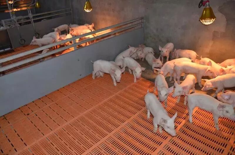 亲友游戏官网中心(中国区)官方下载