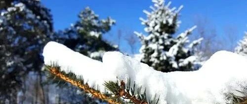 最高气温10℃，辽宁即将升温！但接下来......