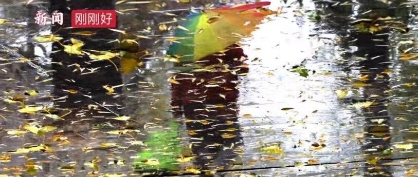 全国性寒潮将来袭！辽宁最低气温将下降10-14℃，或出现局部暴雪