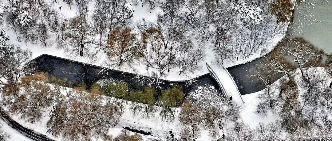 辽宁明日迎雨雪、大风、降温天气！周二局地气温将下降4～8℃