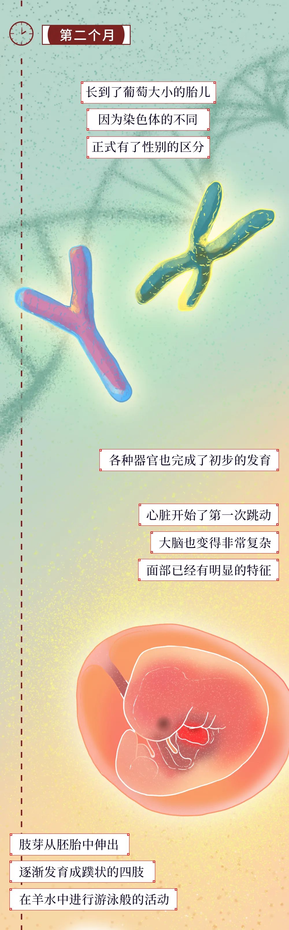 一個女人成為母親的全過程曝光 親子 第5張