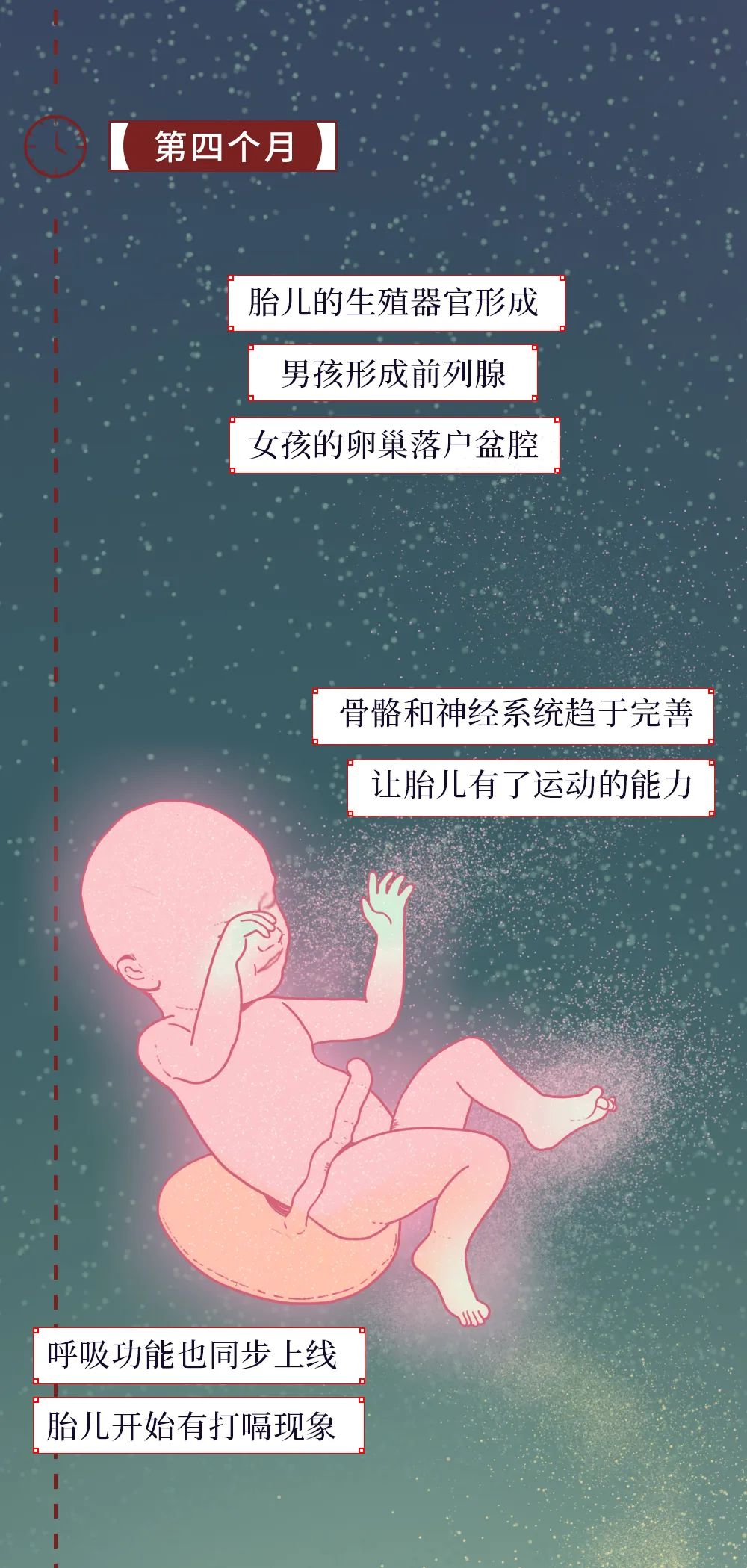 一個女人成為母親的全過程曝光 親子 第9張