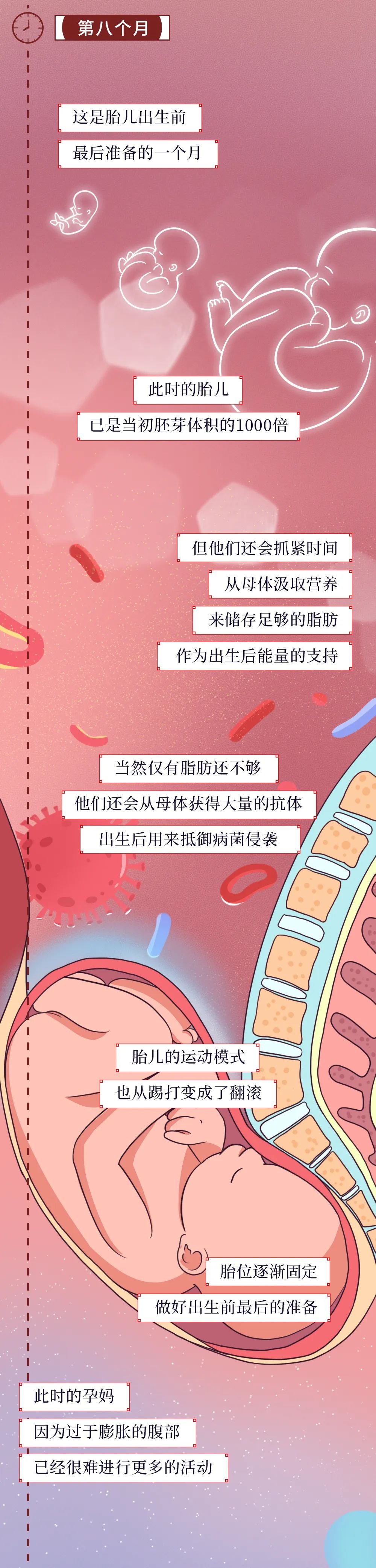 一個女人成為母親的全過程曝光 親子 第15張