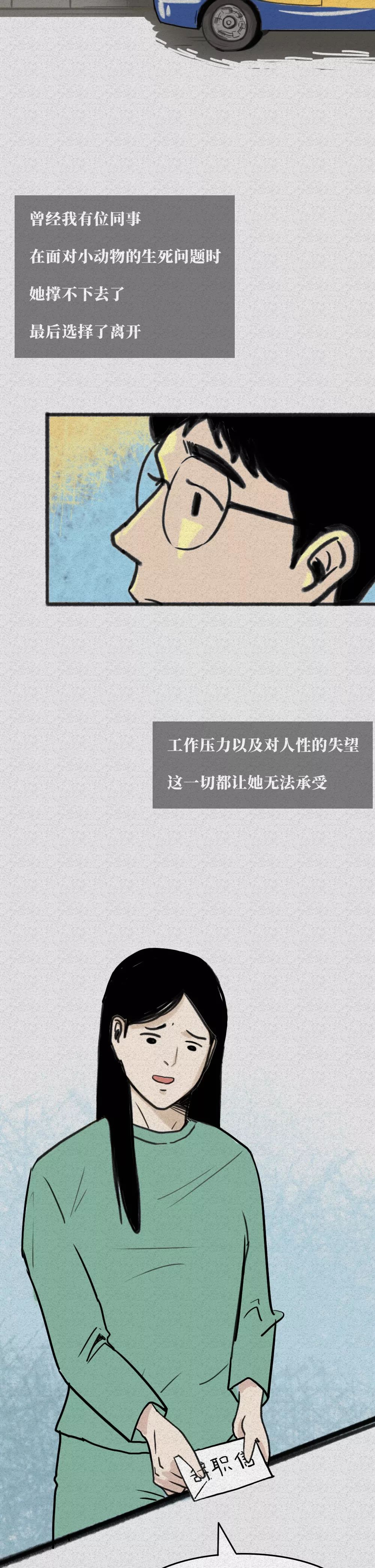 「他把貓從高樓扔下，還笑著說它有9條命！」 寵物 第31張