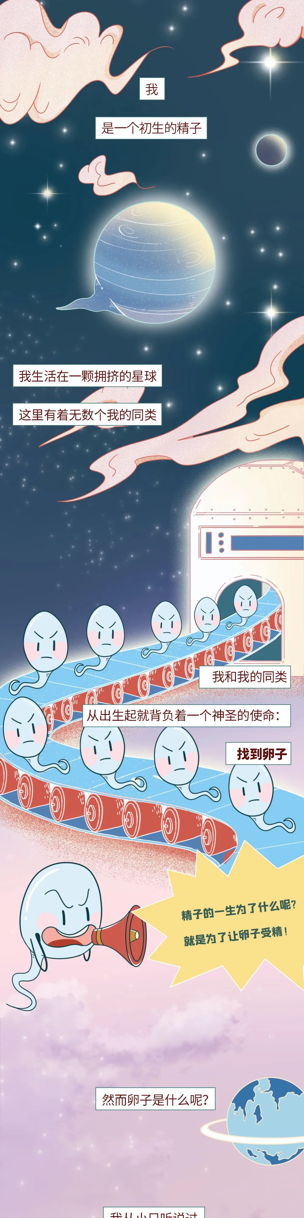 漫画 | 精子进入体内的24小时......