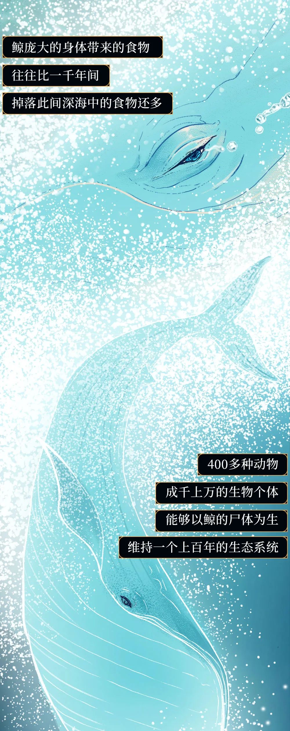 世间浪漫生物图片_世间最浪漫生物_世间浪漫生物有哪些
