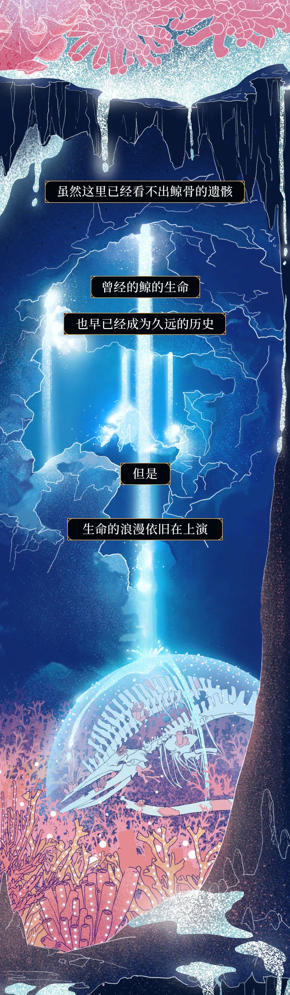 世间最浪漫生物_世间浪漫生物图片_世间浪漫生物有哪些