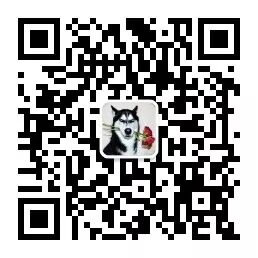 几个精心挑选的简历模板(简历模板推荐)